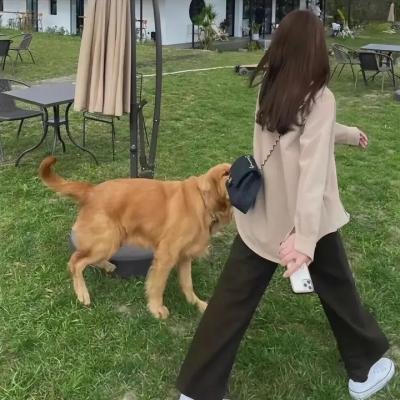 赘婿动画版海报